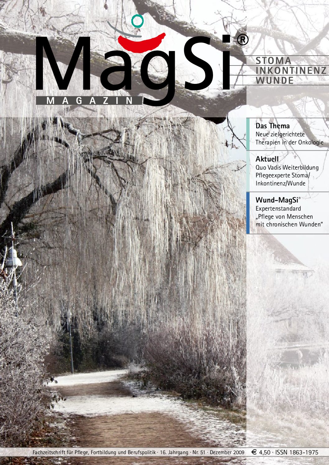 MagSi Magazin PDF