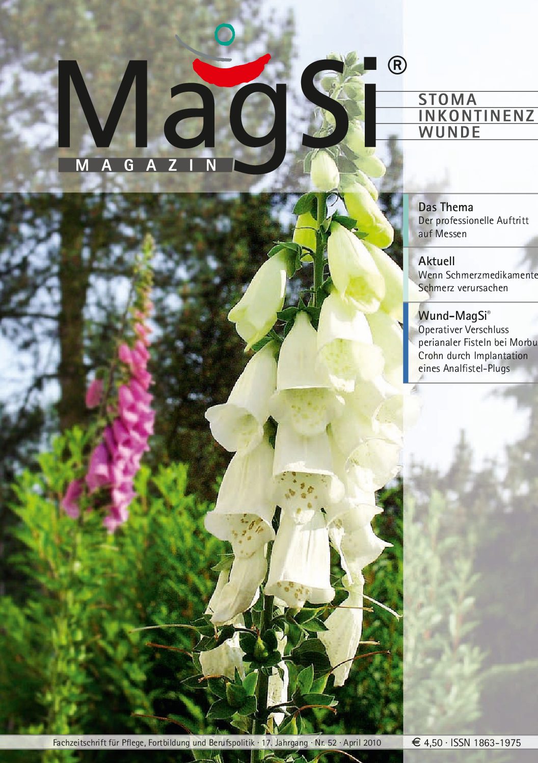 MagSi Magazin PDF