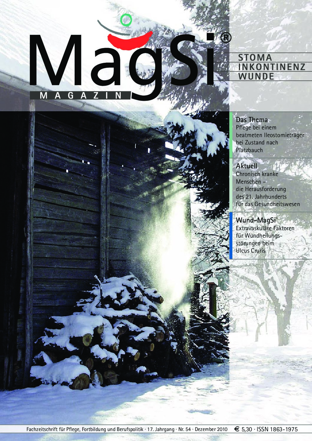 MagSi Magazin PDF