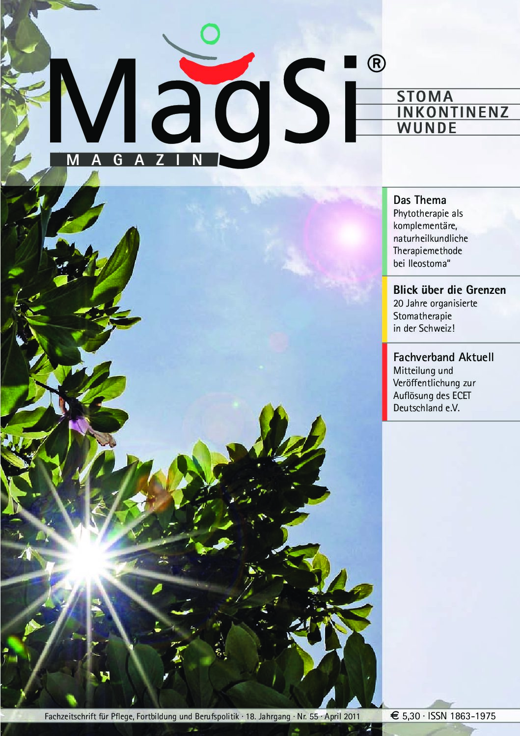 MagSi Magazin PDF