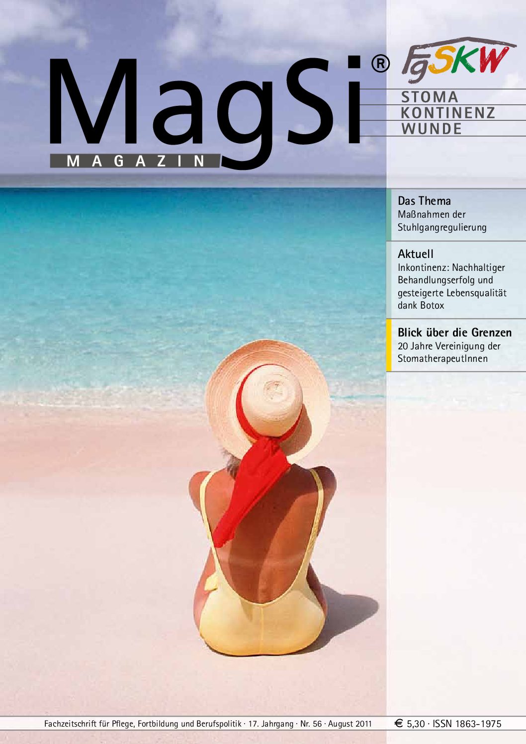 MagSi Magazin PDF