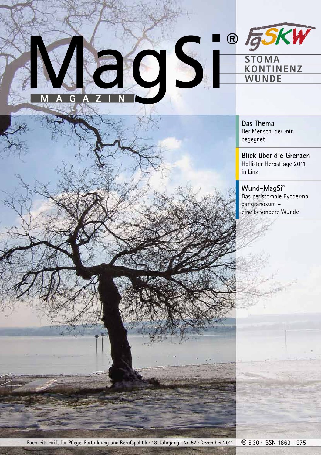 MagSi Magazin PDF