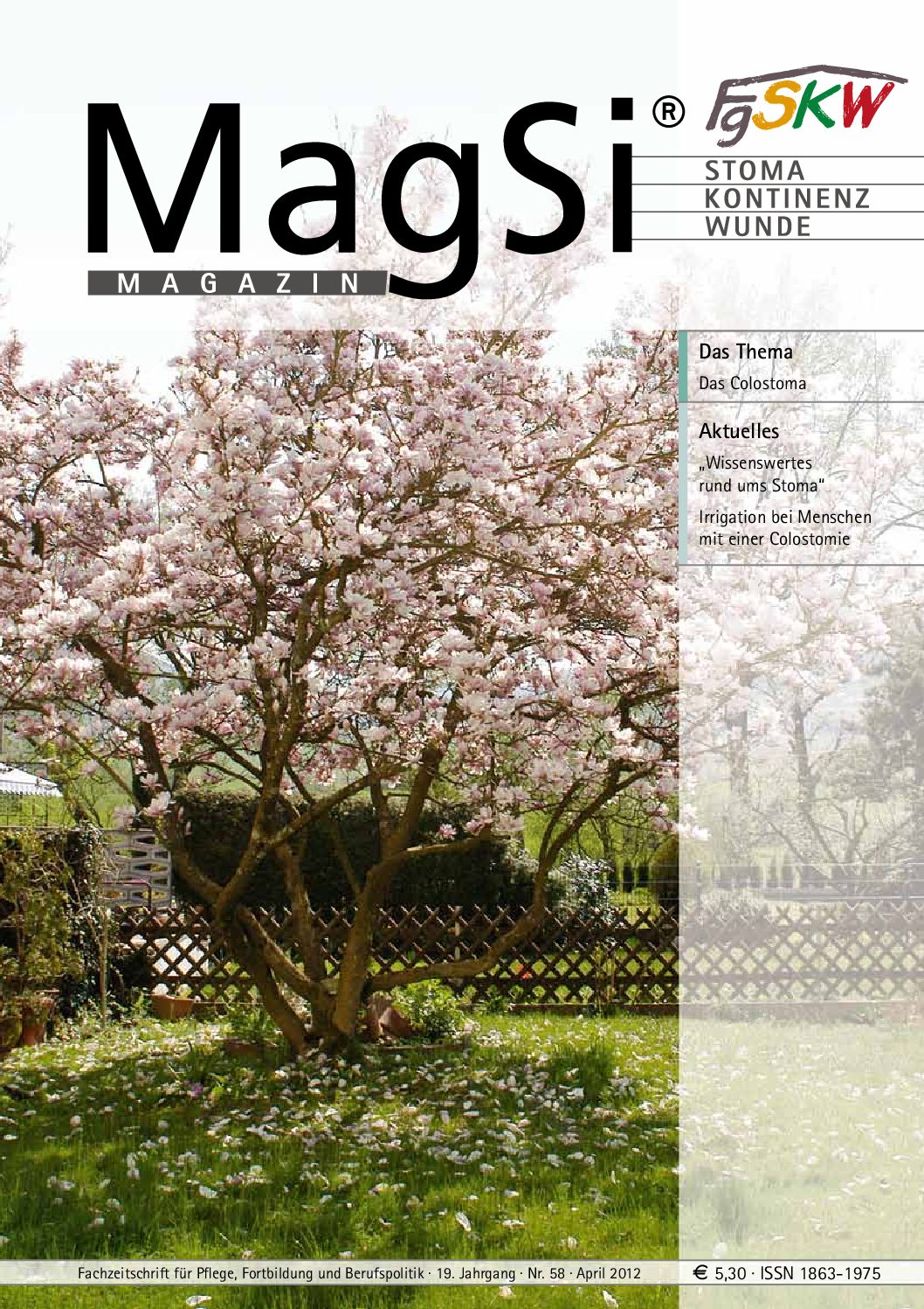 MagSi Magazin PDF