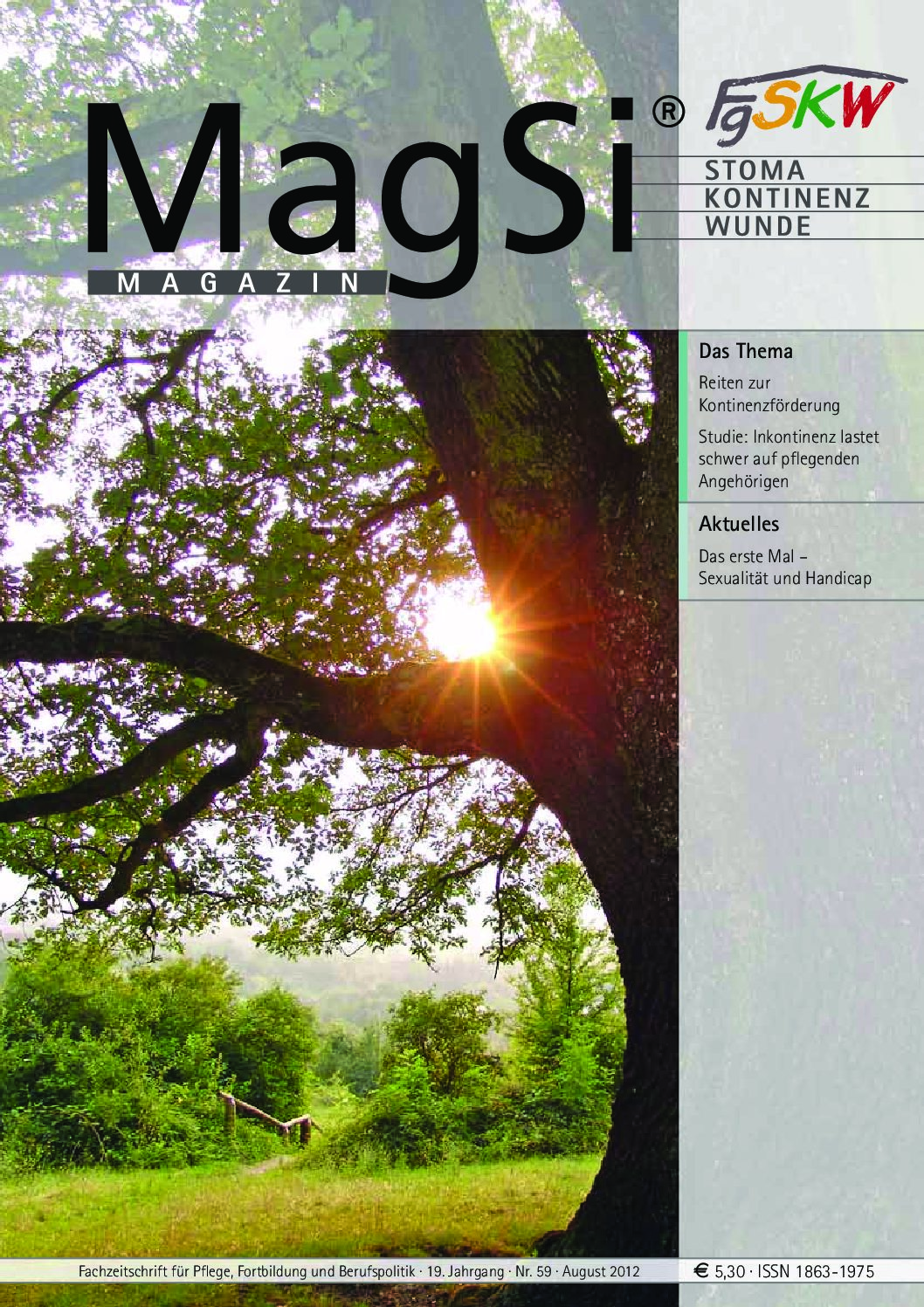 MagSi Magazin PDF