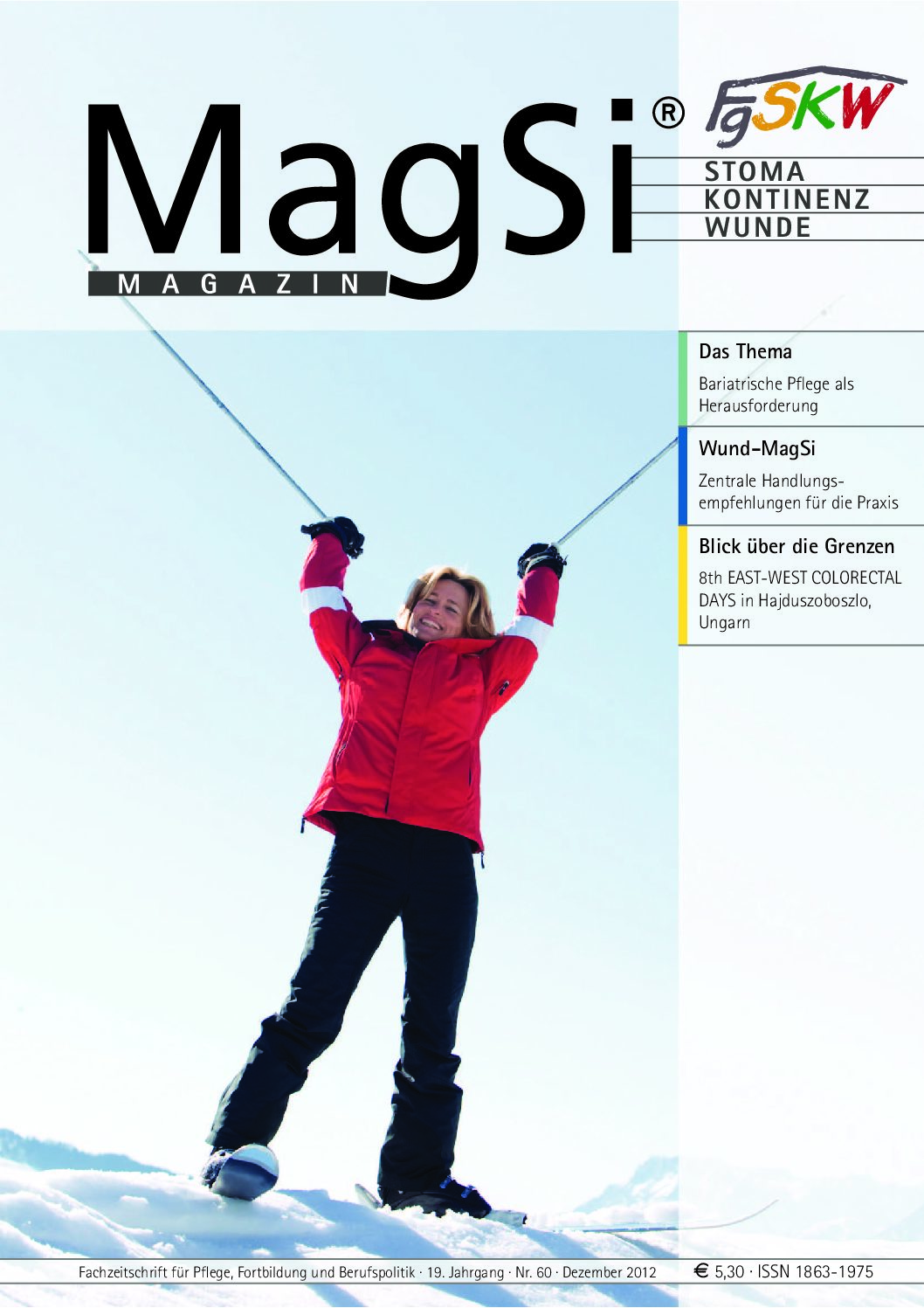 MagSi Magazin PDF