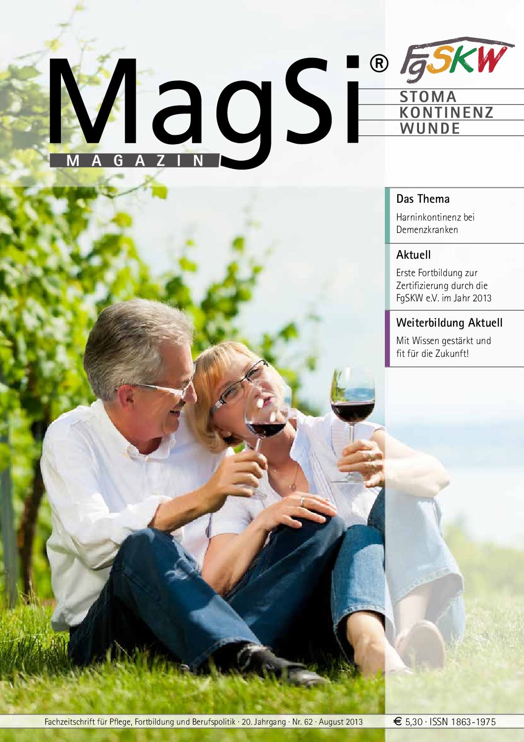 MagSi Magazin PDF