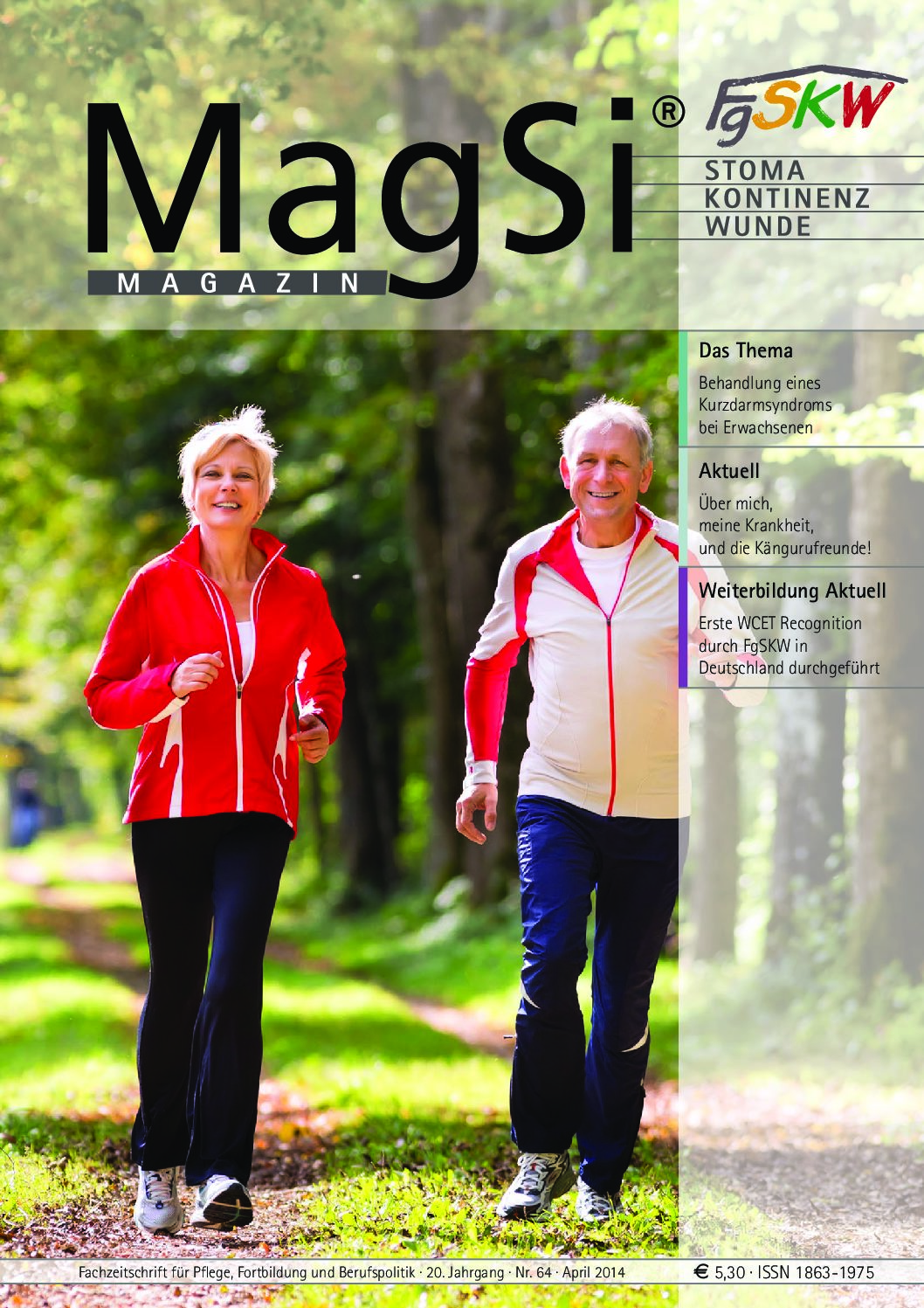 MagSi Magazin PDF