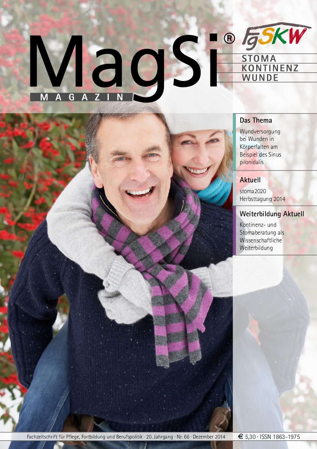 MagSi Magazin PDF