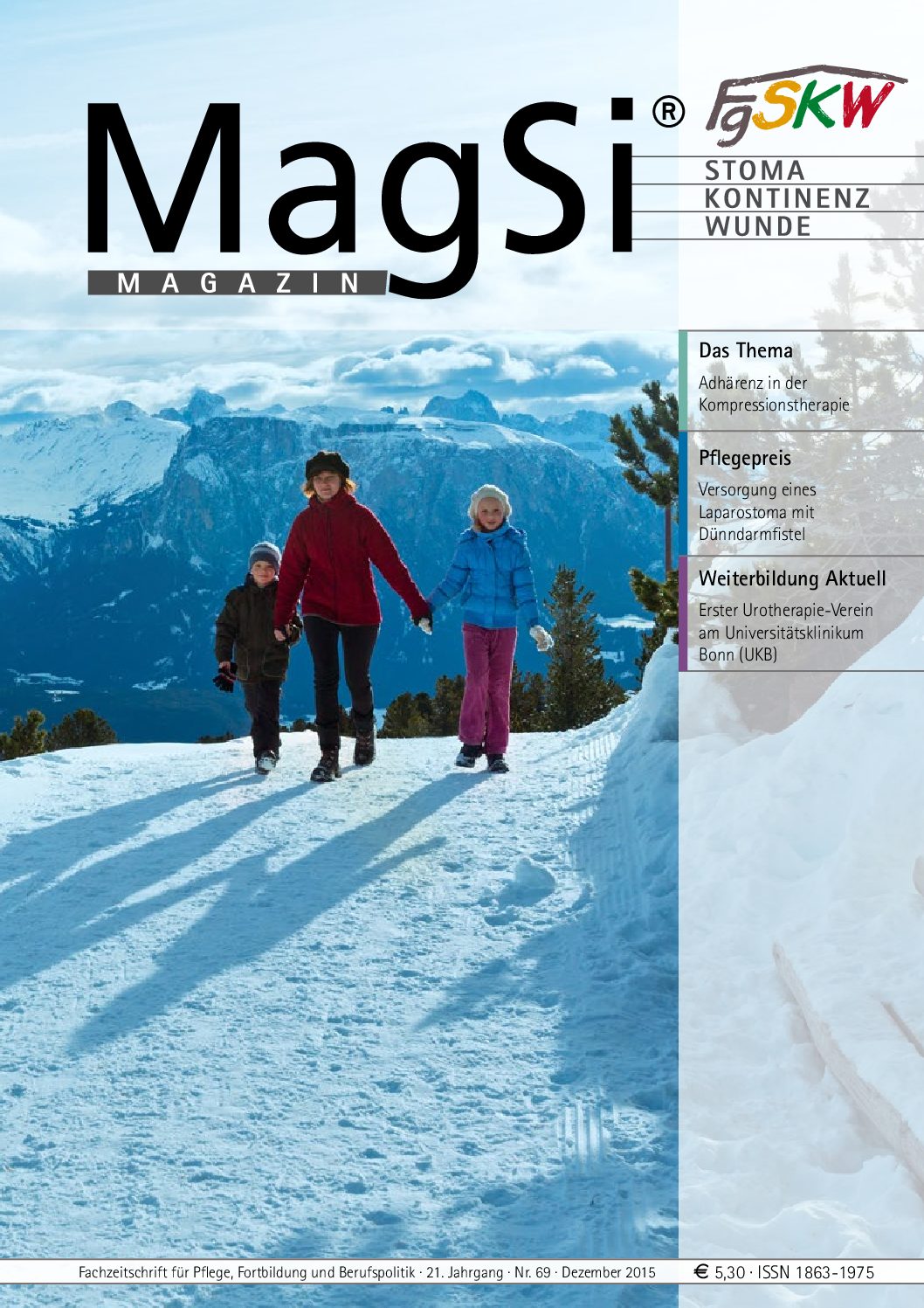 MagSi Magazin PDF