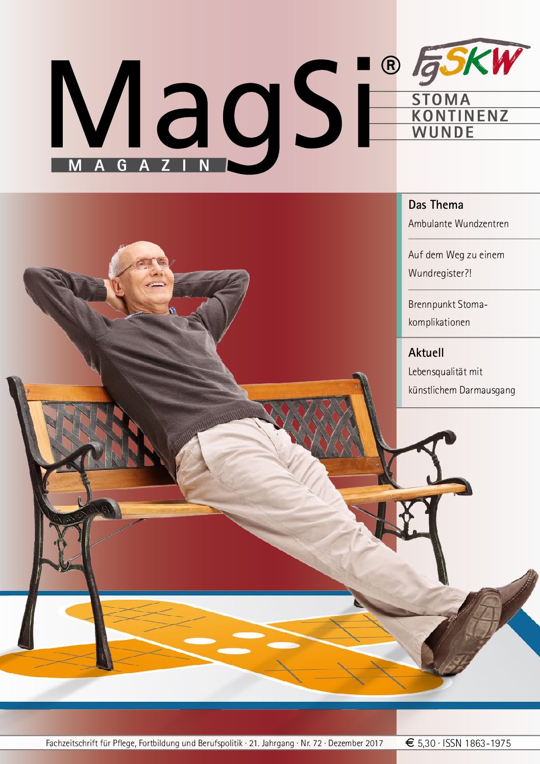 MagSi Magazin PDF