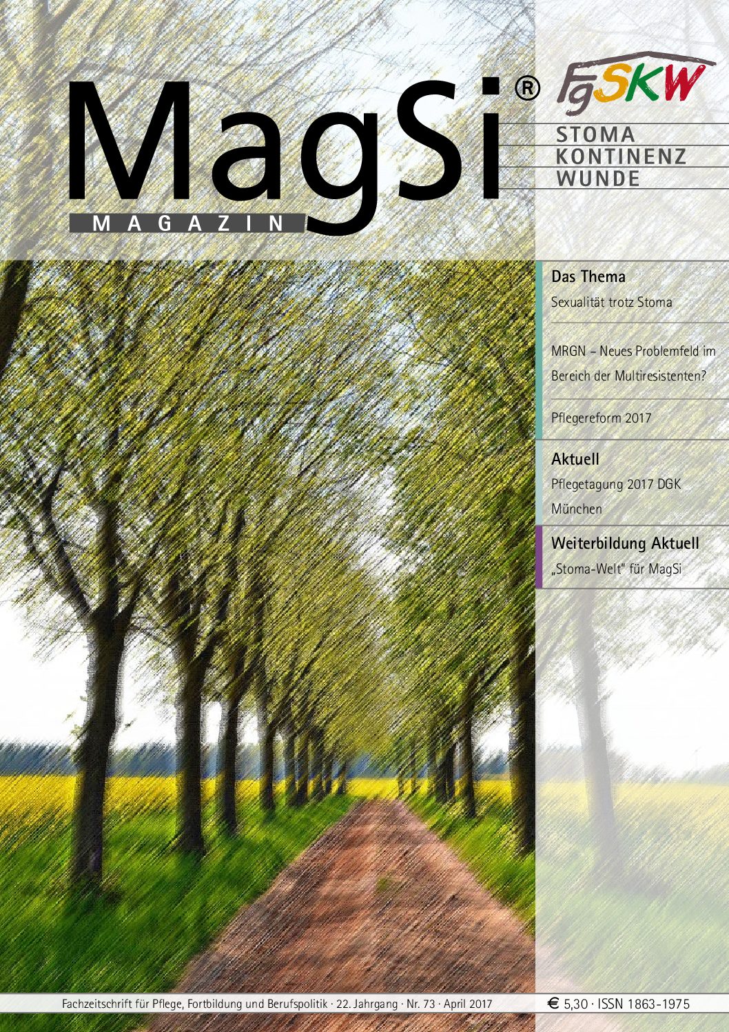 MagSi Magazin PDF