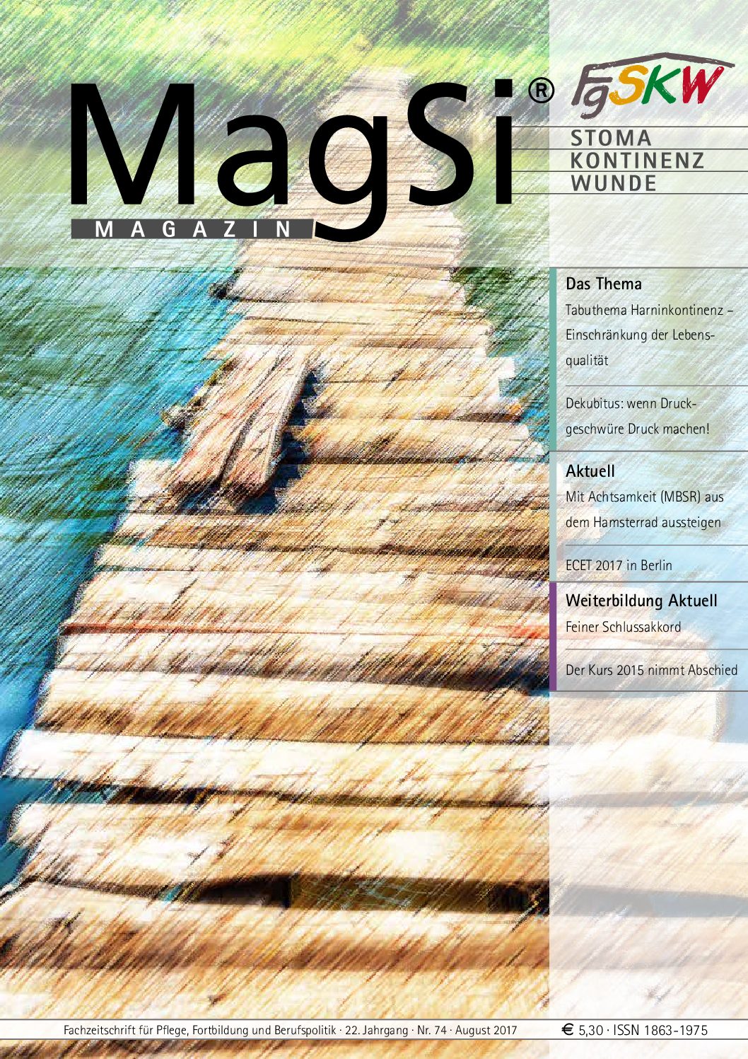 MagSi Magazin PDF