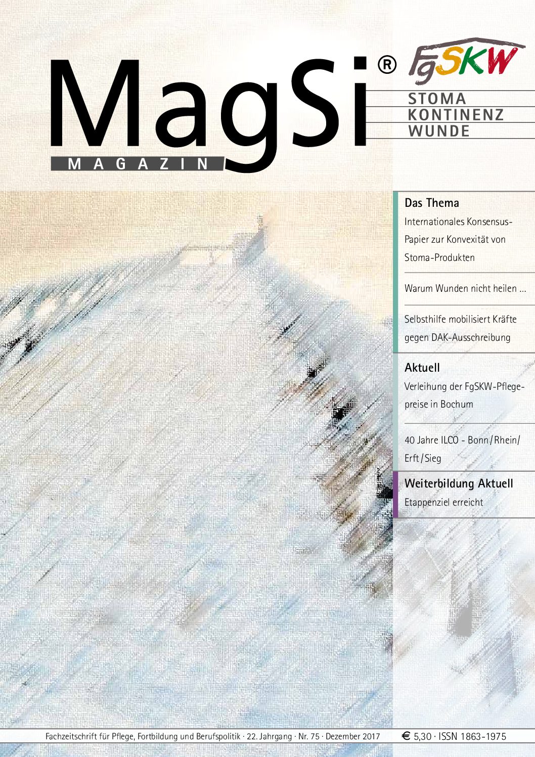MagSi Magazin PDF