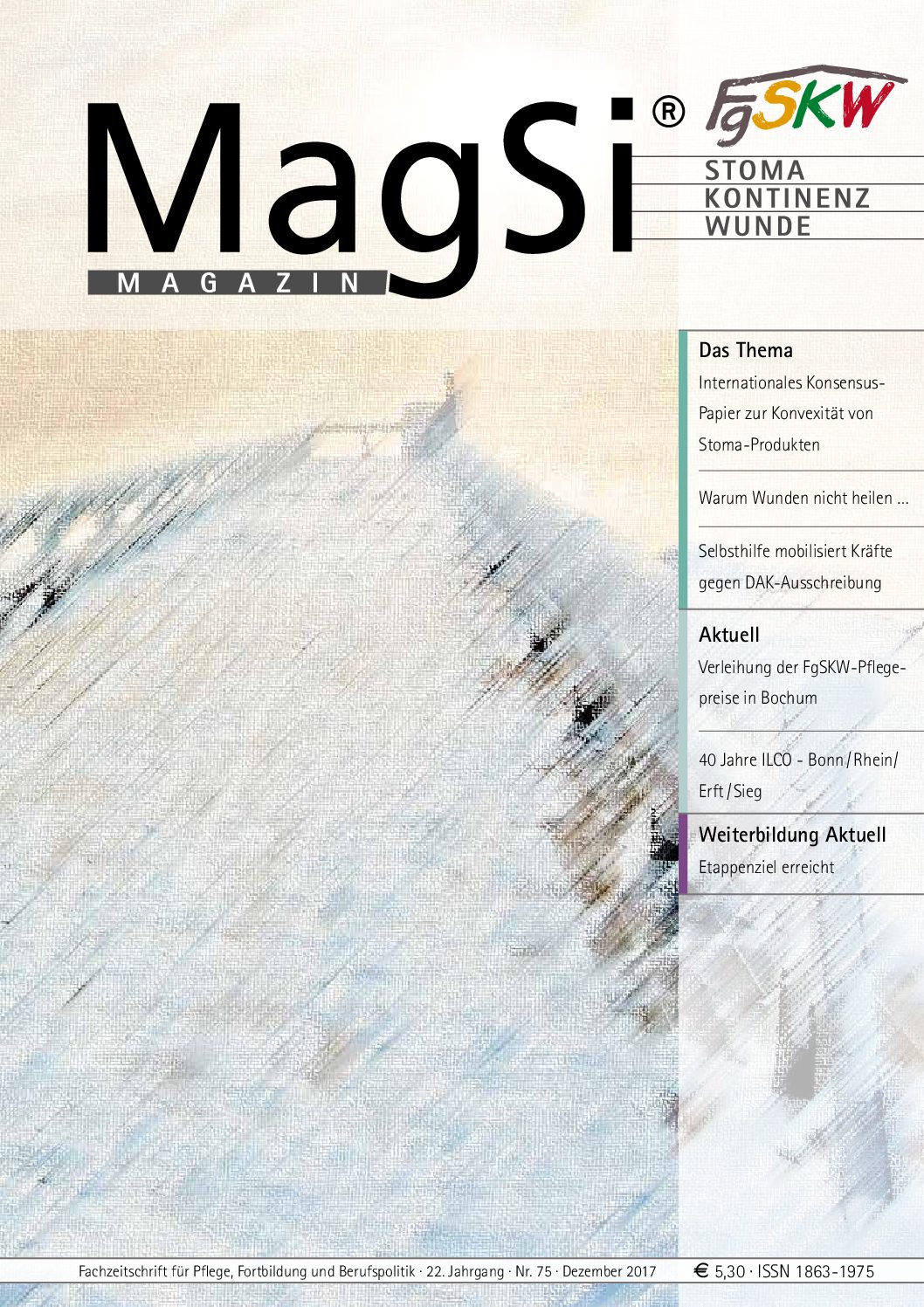 MagSi Magazin PDF