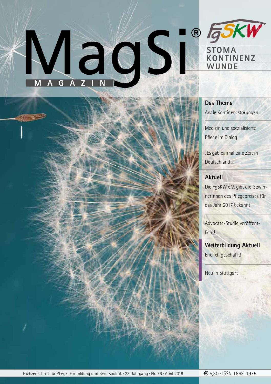 MagSi Magazin PDF