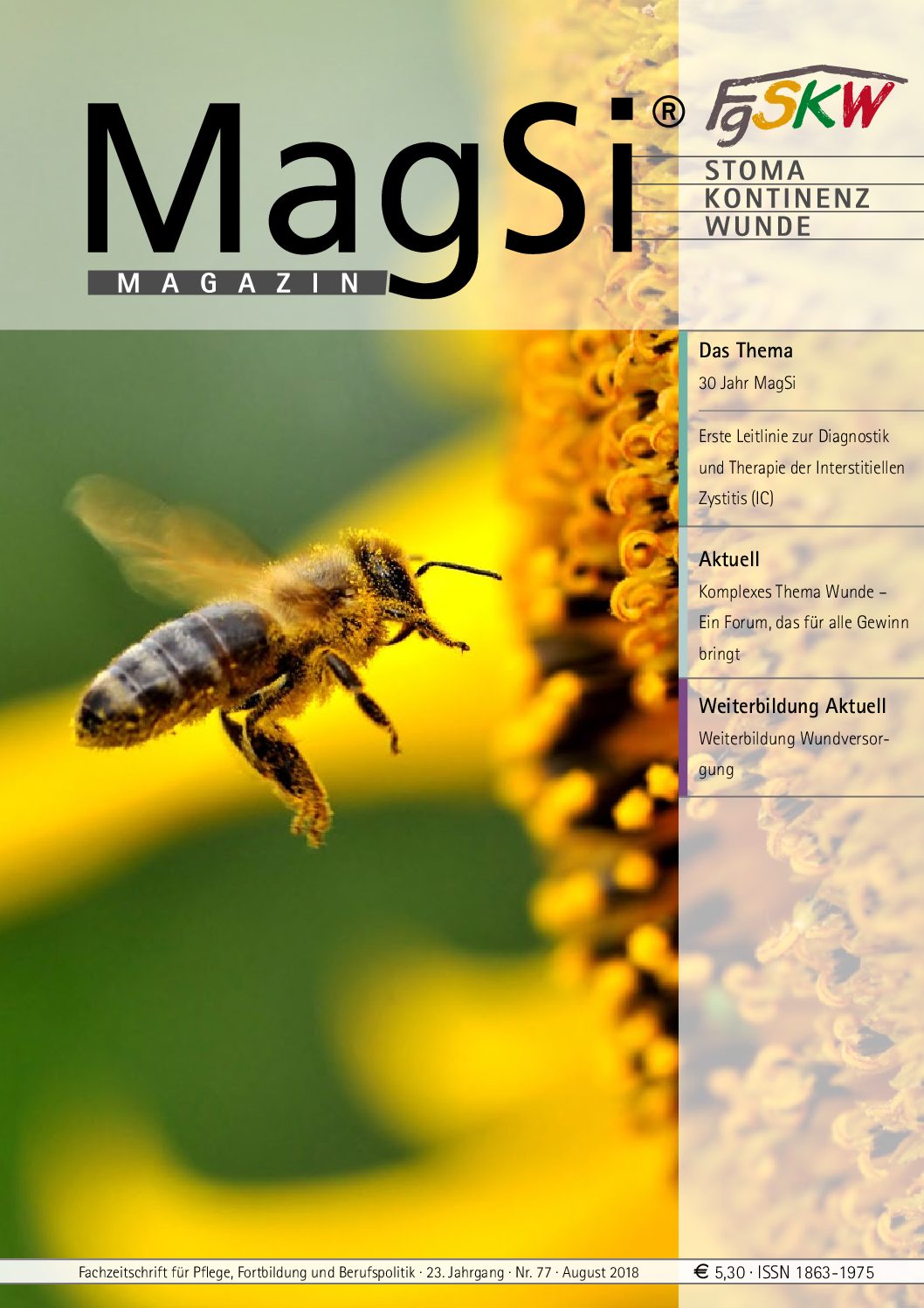 MagSi Magazin PDF