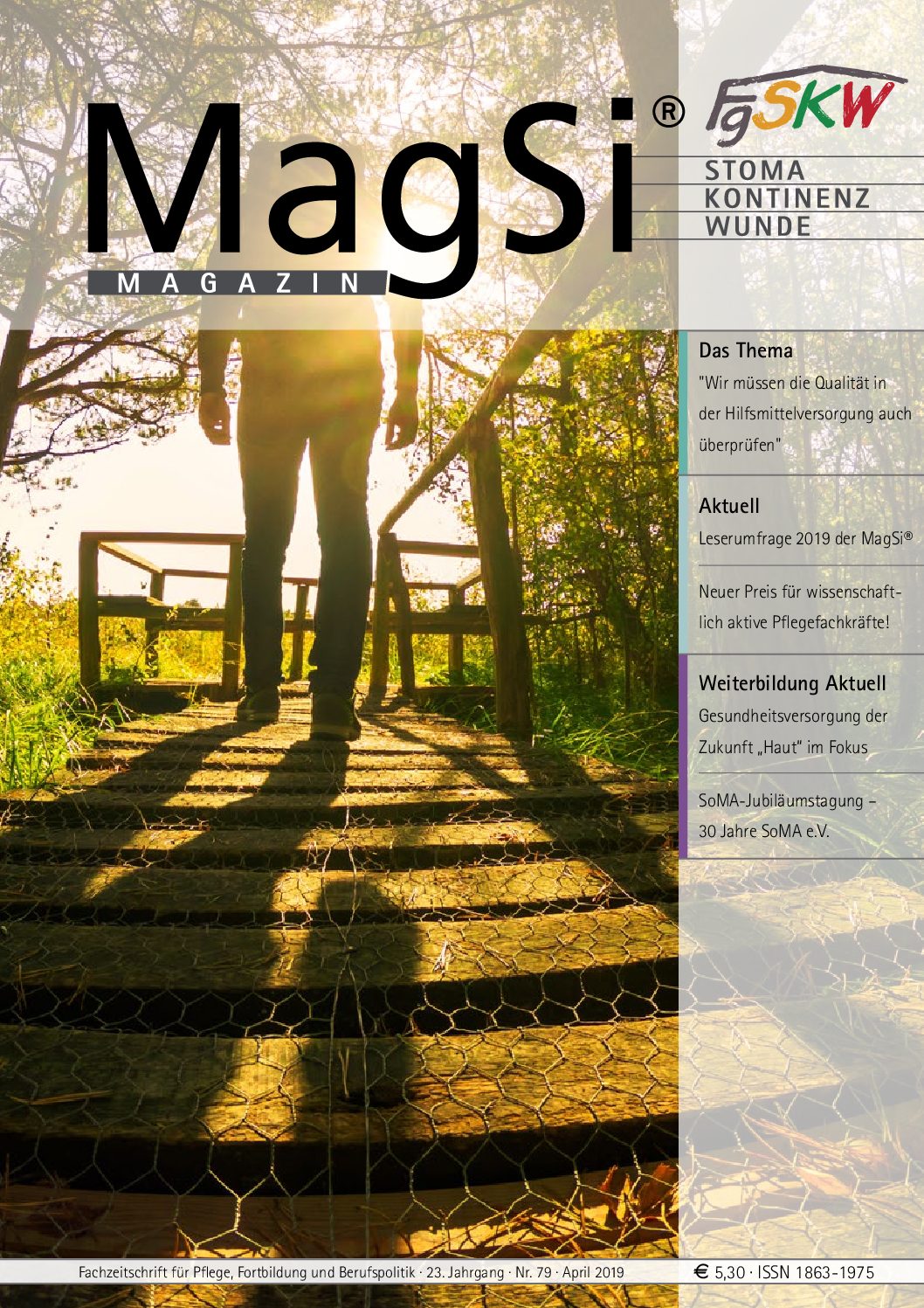 MagSi Magazin PDF