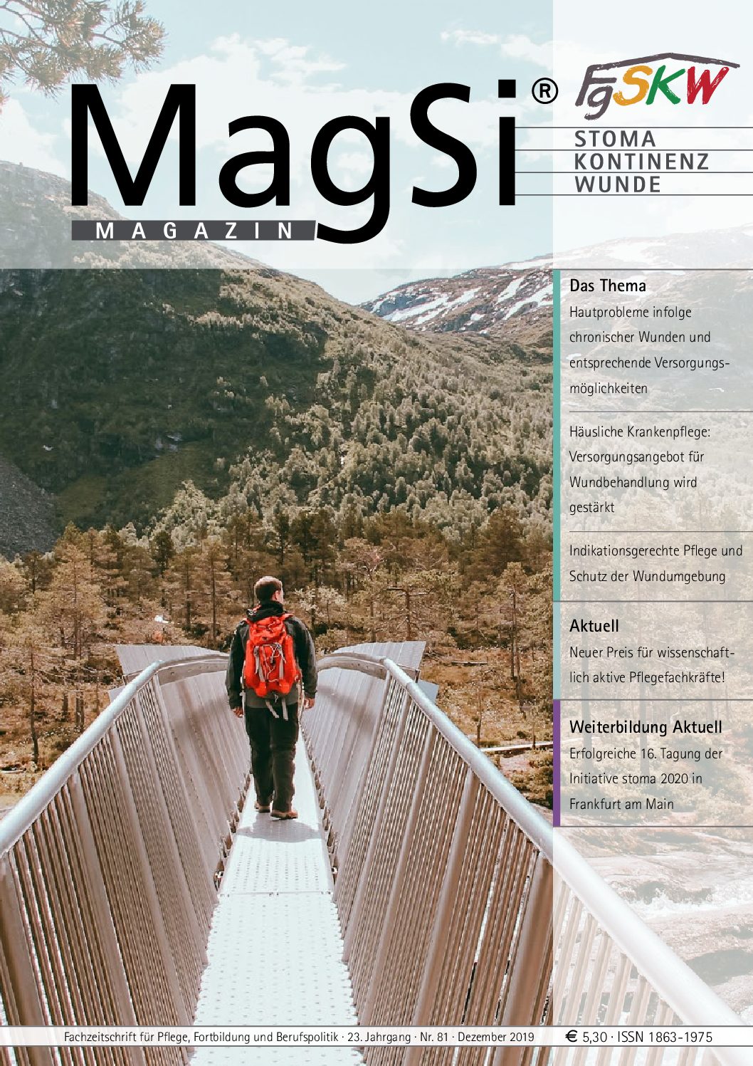 MagSi Magazin PDF