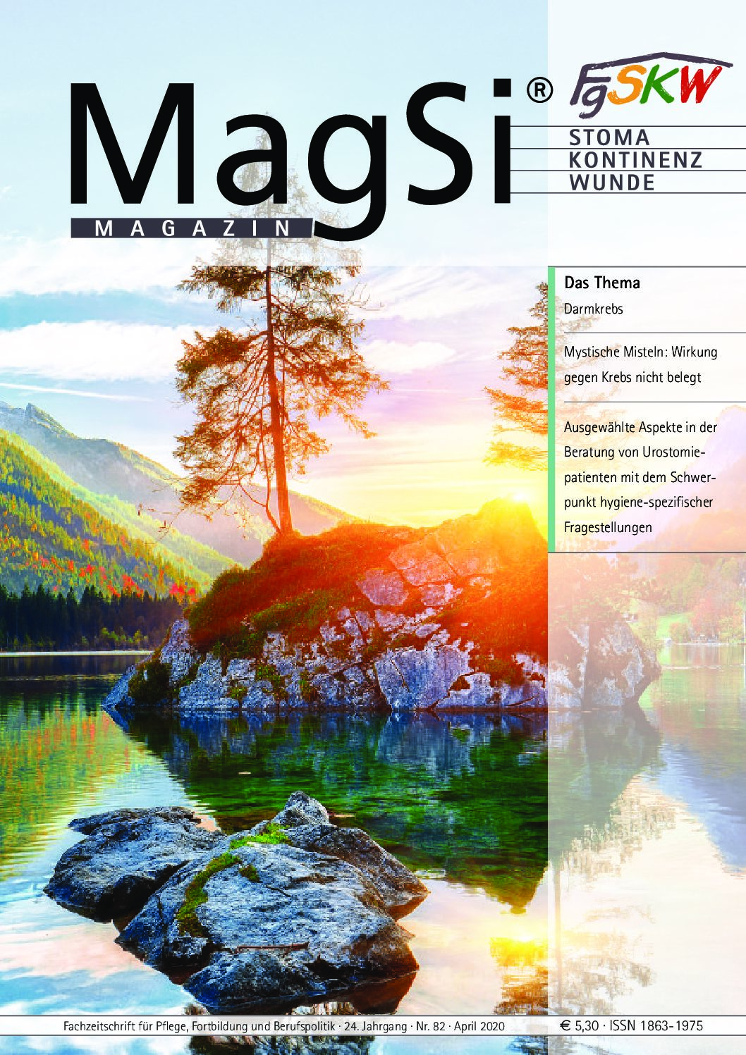 MagSi Magazin PDF