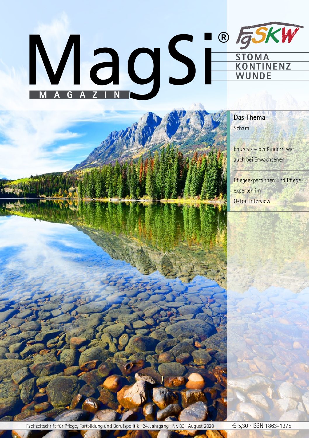 MagSi Magazin PDF