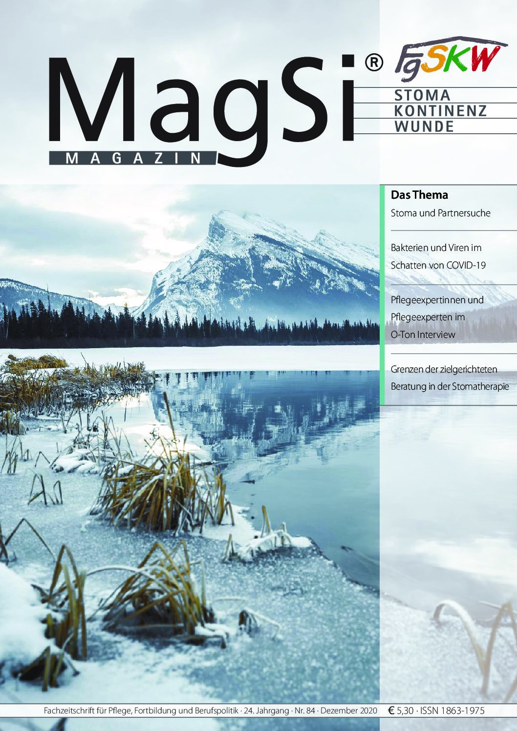 MagSi Magazin PDF