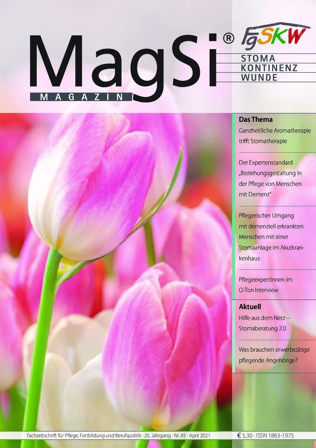 MagSi Magazin PDF