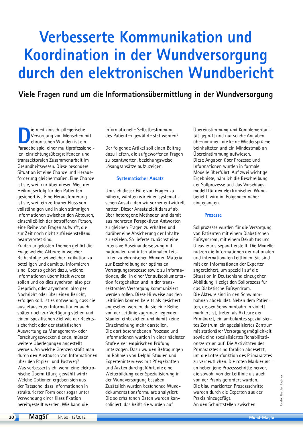 Elektronischer Wundbericht PDF